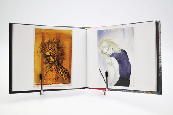 The Art of Yoshitaka Amano Dark Horse book English