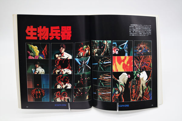 Fight!! Iczer 1 Act. II Character's Album book Japanese
