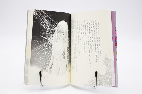 Video Girl Ai Masakazu Katsura novel book Japanese
