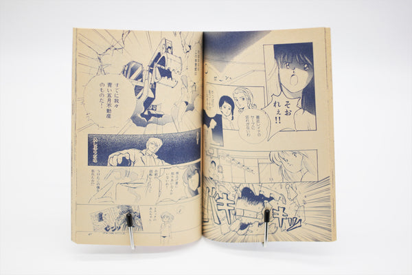 Animedia Comic Party '90 Spring book Japanese