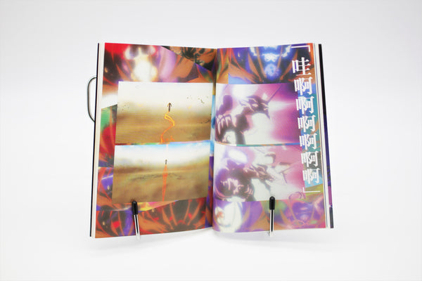 Neon Genesis Evangelion The End of Evangelion film book Air/Sincerely Yours set Chinese