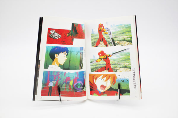 Neon Genesis Evangelion The End of Evangelion film book Air/Sincerely Yours set Chinese