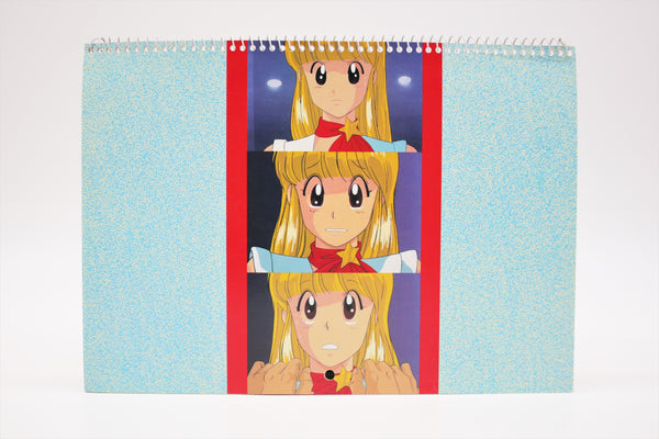 Assemble Insert Masami Yuki Calendar and Pins set Japan import