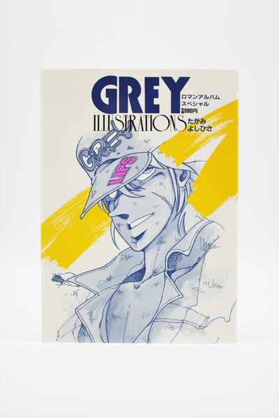 Grey Illustrations Roman Album Special book Japanese