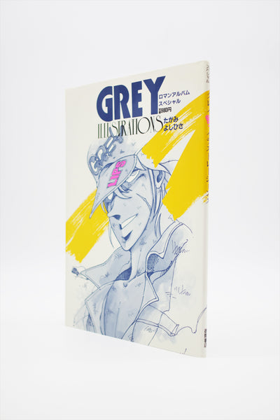 Grey Illustrations Roman Album Special book Japanese