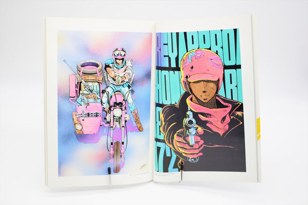 Grey Illustrations Roman Album Special book Japanese