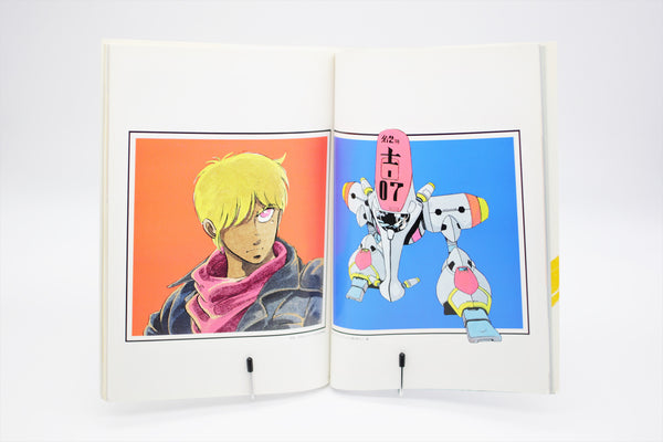 Grey Illustrations Roman Album Special book Japanese