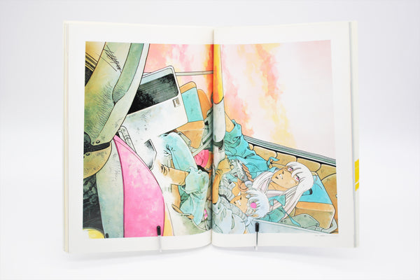 Grey Illustrations Roman Album Special book Japanese