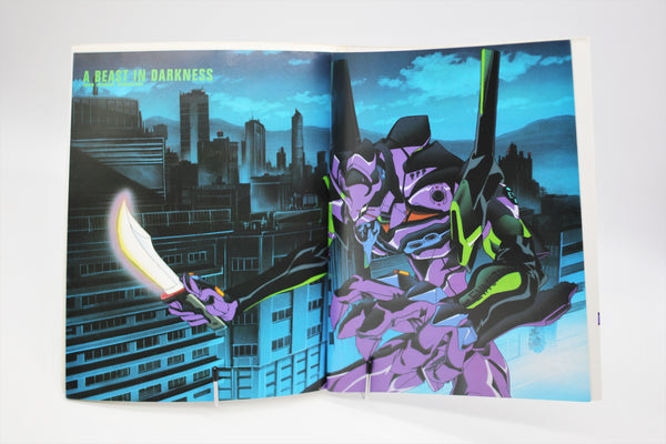 Neon Genesis Evangelion Newtype 100% Collection book Japanese