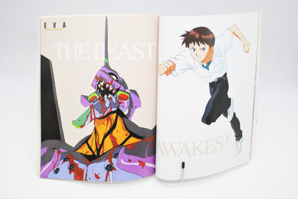 Neon Genesis Evangelion Newtype 100% Collection book Japanese