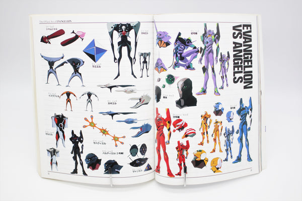 Neon Genesis Evangelion Newtype 100% Collection book Japanese