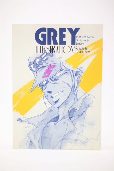 Grey Illustrations Roman Album Special book Japanese