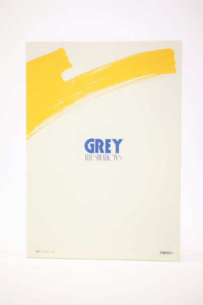 Grey Illustrations Roman Album Special book Japanese