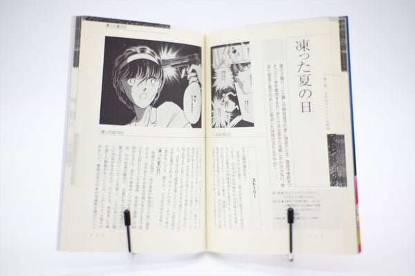 Shinohara Chie World Guide 1981-1999 book Japanese