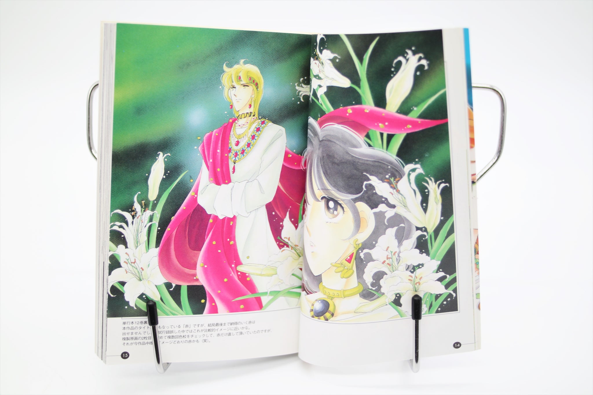 Sora wa Akai Kawa no Hotori Fan Book Chie Shinohara Japanese