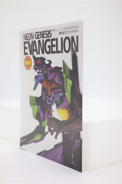 Neon Genesis Evangelion Newtype 1000% pamphlet Japanese