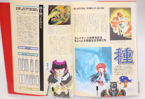 Slayers DX Dragon Magazine Collection book Japanese