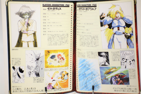 Slayers DX Dragon Magazine Collection book Japanese