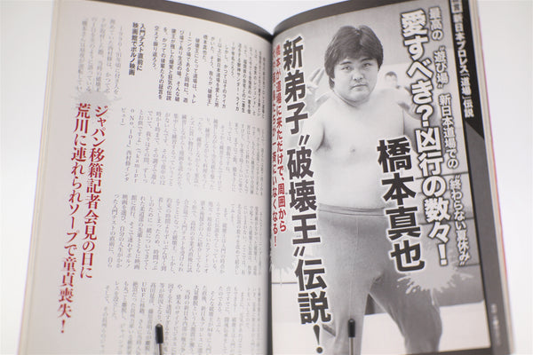 New Japan Pro-Wrestling vol.15 Paradox of Puroresu/Dojo Legend book mook Japanese