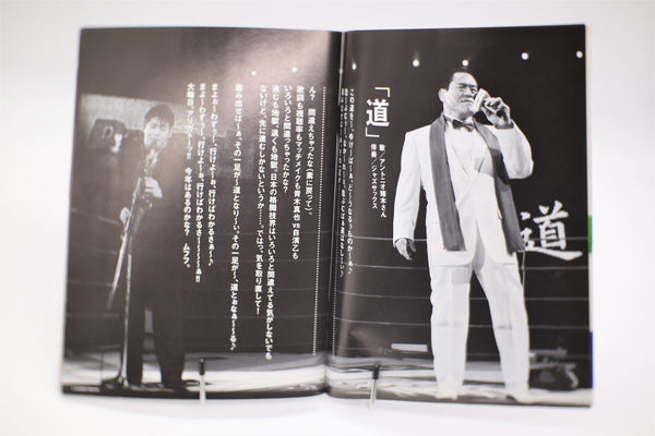 Kamipro Special MMA and Pro-Wrestling Magazine February 2011 mook Japanese