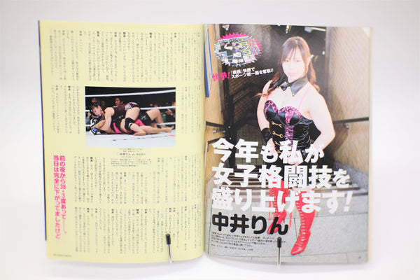 Kamipro Special MMA and Pro-Wrestling Magazine February 2011 mook Japanese