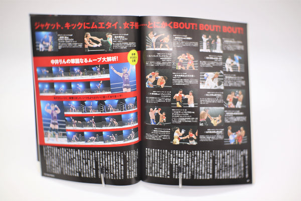 Kamipro Special MMA and Pro-Wrestling Magazine February 2011 mook Japanese