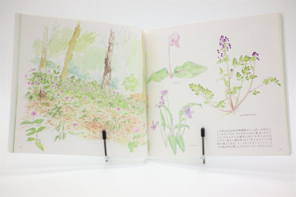 Totoro no Umareta Tokoro Birth Place book Japanese