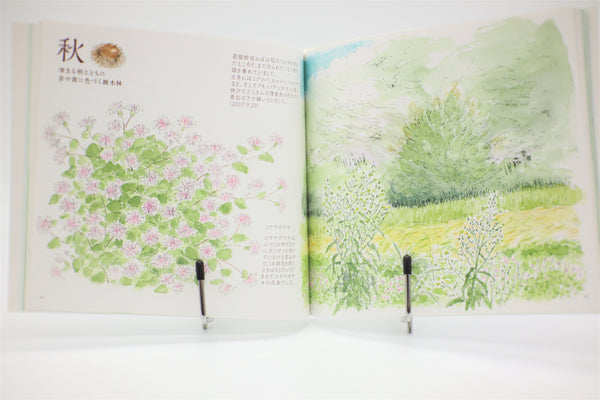 Totoro no Umareta Tokoro Birth Place book Japanese