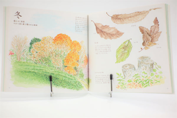 Totoro no Umareta Tokoro Birth Place book Japanese